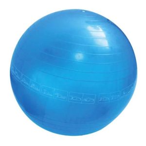 Gym Ball 55cm